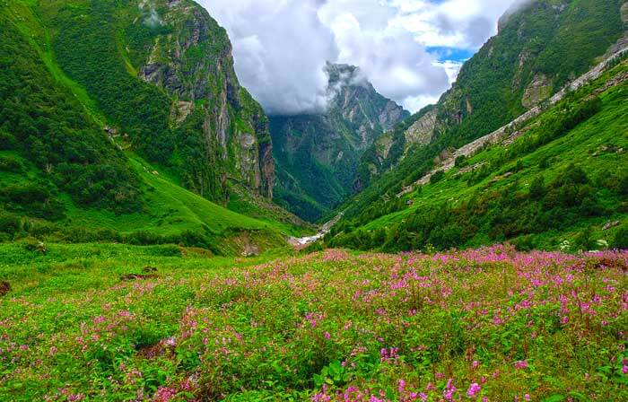 Le Parc national de la Vallée des fleurs dans l’État de l’Uttarakhand