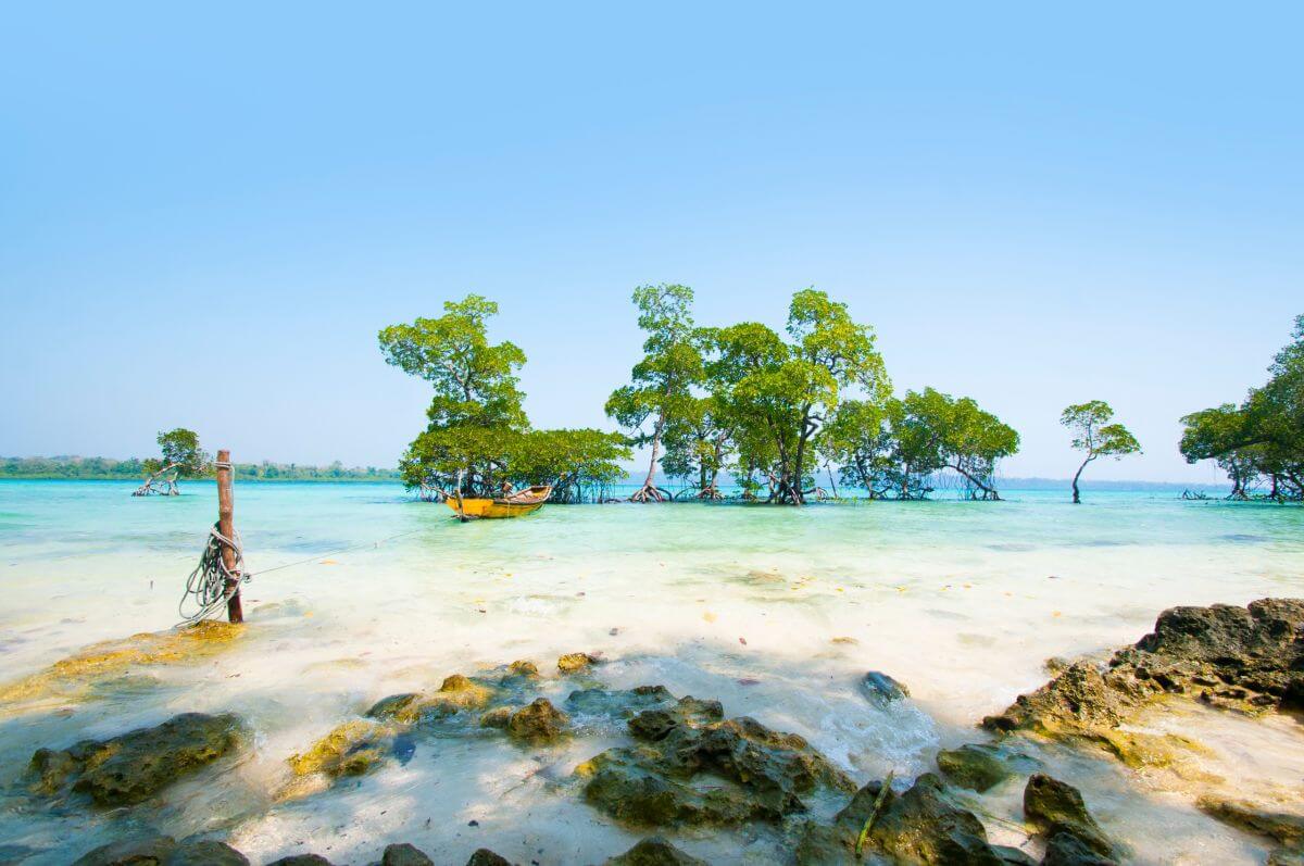 les plages paradisiaques d'Andaman et Nicobar,
